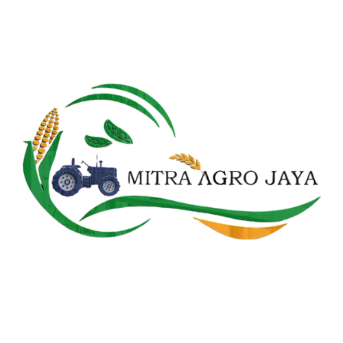 Logo Transparent
